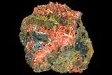 Bright Orange Crocoite Crystal Cluster - Tasmania #103798-1